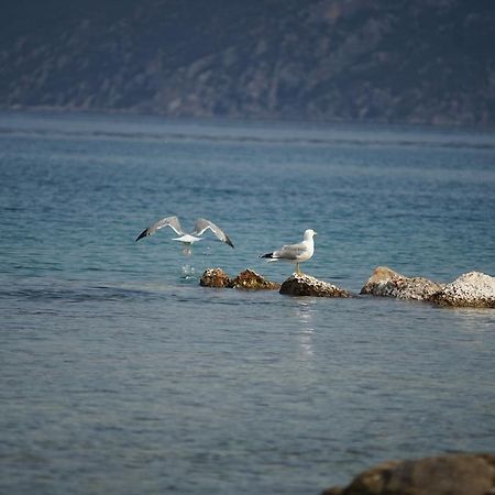 Belvedere Suites Κόρφος Εξωτερικό φωτογραφία