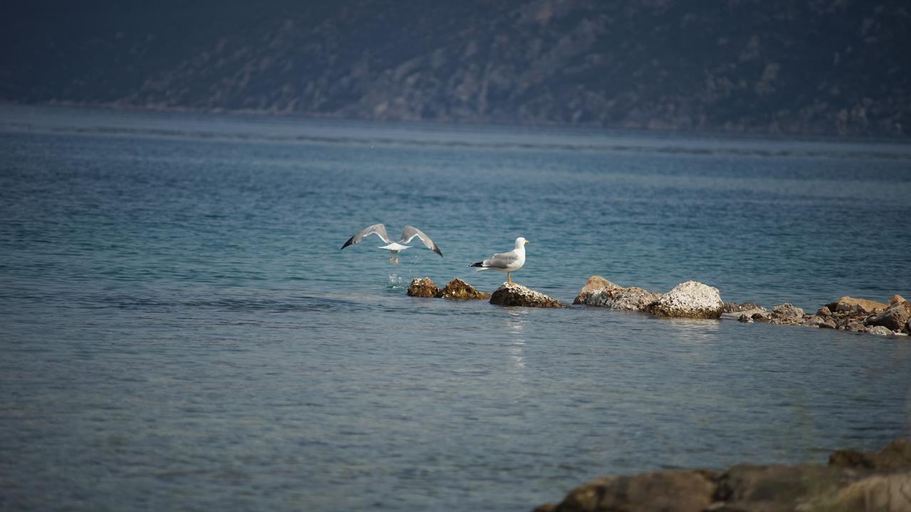 Belvedere Suites Κόρφος Εξωτερικό φωτογραφία